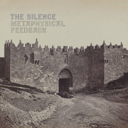 Metaphysical Feedback