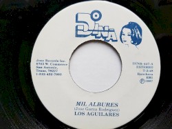 Mil albures / Candice rose