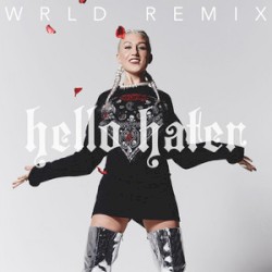 Hello Hater (WRLD Remix)