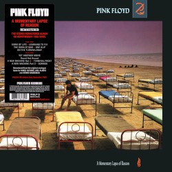 A Momentary Lapse of Reason