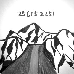 256152251