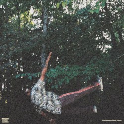 fish don’t climb trees