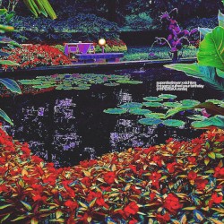 I'm Sorry I Ruined Your Birthday (Eichlers Remix)