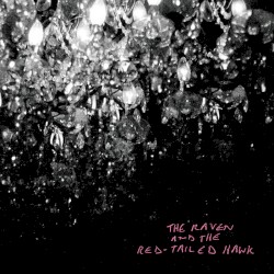 The Raven and the Red‐Tailed Hawk