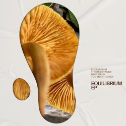 Equilibrium EP