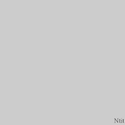 nt-it.