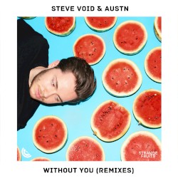Without You (Remixes)