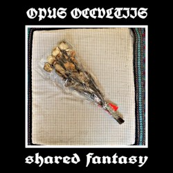 Shared Fantasy