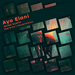 Ayo Elani