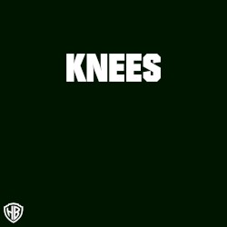 KNEES