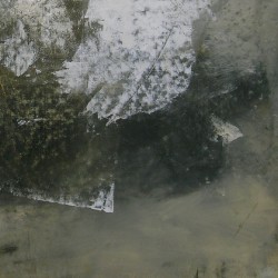 He's Home With Bones That Grow the Way They're Supposed To