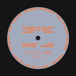 Running to the Sea (True Electric) (anamē remix)