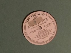 Poinciana / In a Persian Market