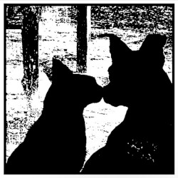 Every Dog Has Its Day