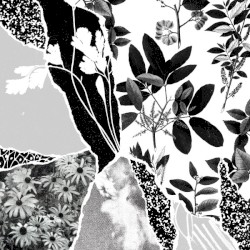 Mon herbier du monde entier