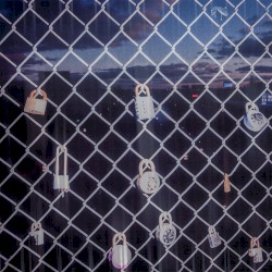 rebirth // renaissance