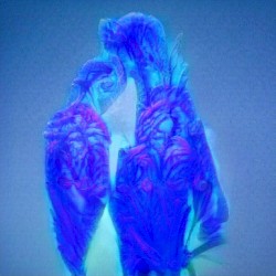 cylces 2