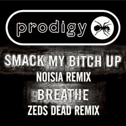 Smack My Bitch Up