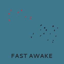 Fast Awake