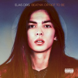 Beatnik or Not to Be