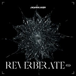 REVERBERATE ep.