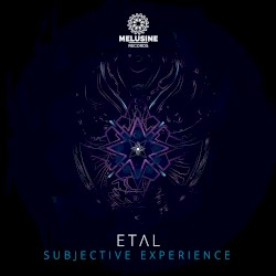 Subjective Experience