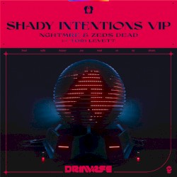 Shady Intentions (VIP)