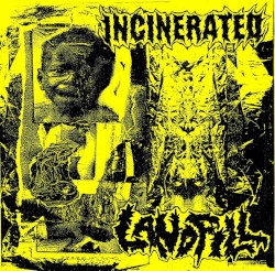 Incinerated / Landfill