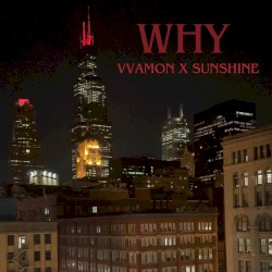 why (ft. vvamon)