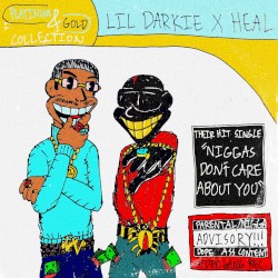 NIGGAS DON'T CARE ABOUT YOU