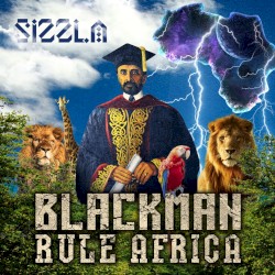 Black Man Rule Africa