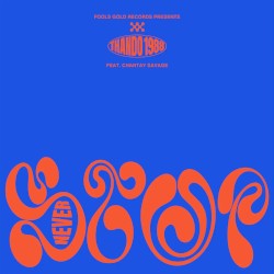 Never Stop (extended mix)