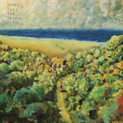 Don’t Tell the Driver