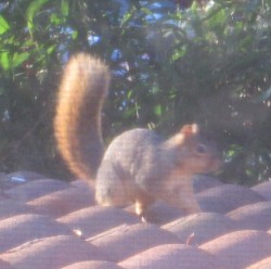 Bedroom, September 28th, 2019, 5:29 PM