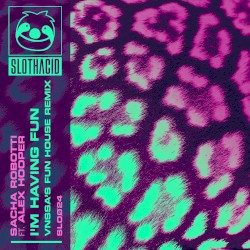 I'm Having Fun (VNSSA's Fun House remix)