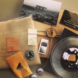 Dean McPhee / Seabuckthorn