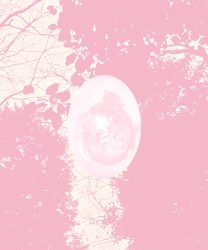 Cosmic Love (Demo 2022)