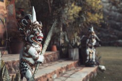 Don't Live a Life of Harsh Tangible Satisfactions