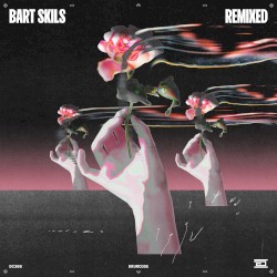 Bart Skils Remixed