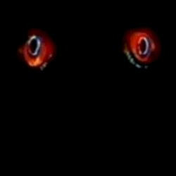 horror. +prx +two +amo