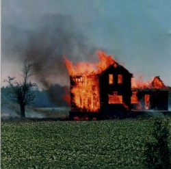 Fibsville