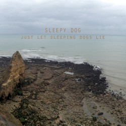 Just Let Sleeping Dogs Lie