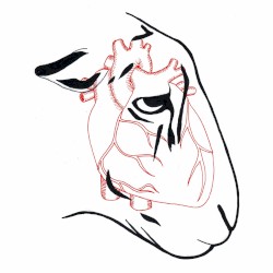 I’m Not Here to Make Friends