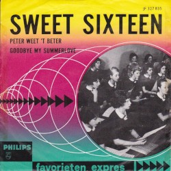 Peter weet ’t beter / Goodbye My Summerlove