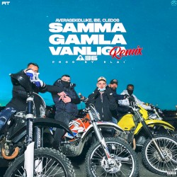 Samma gamla vanliga (remix)