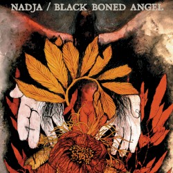 Nadja / Black Boned Angel
