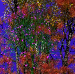 From the Root of Jesse Proceeds a Splendid Flower