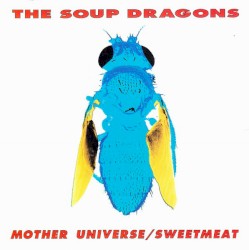 Mother Universe