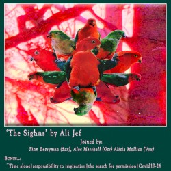 The Sihgns