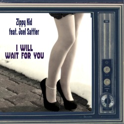 I Will Wait for You